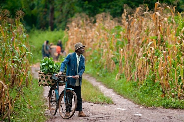 Man and bicycle